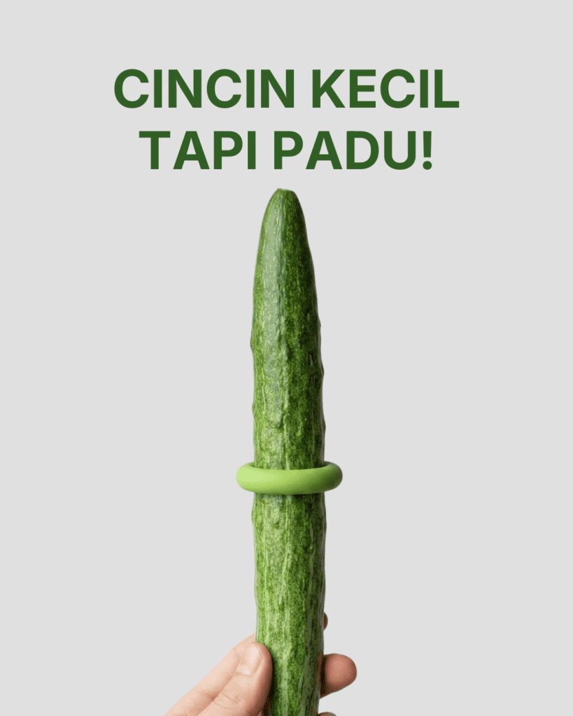 cincin kecil tapi padu